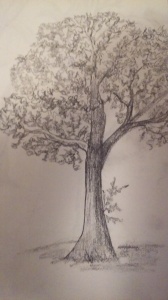 It's not much of a tree, but this drawing turned me into "an artist". 