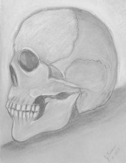 Charcoal Skull