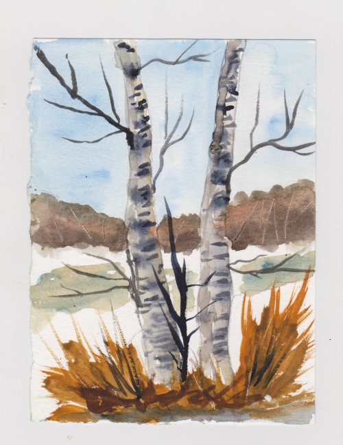 Watercolor 160620 Birch Tree (2)