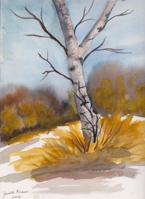Watercolor 160622 Tall Birch